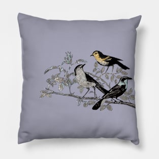 Happy free birds Pillow