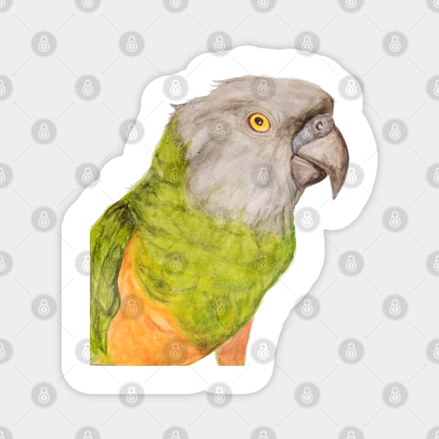 Youyou of Senegal Parrot Parrot Tropical Bird Watercolor Art Print Magnet by Oranjade0122