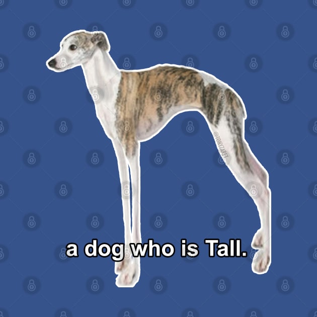 A Dog Who Is Tall by tonyzaret