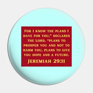 Bible Verse Jeremiah 29:11 Pin