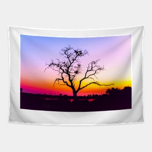 African Tree At Sunset Tapestry