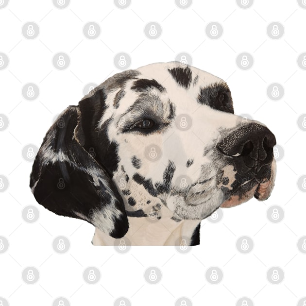 Harlequin Great Dane by Kinship Arts