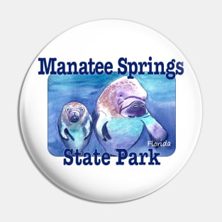 Manatee Springs State Park, Florida Pin