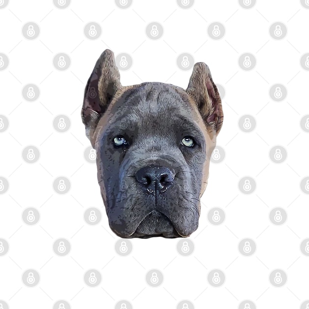 Cane Corso Puppy Dog Fawn Formentino by ElegantCat