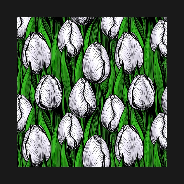 White tulips with green leaves by katerinamk