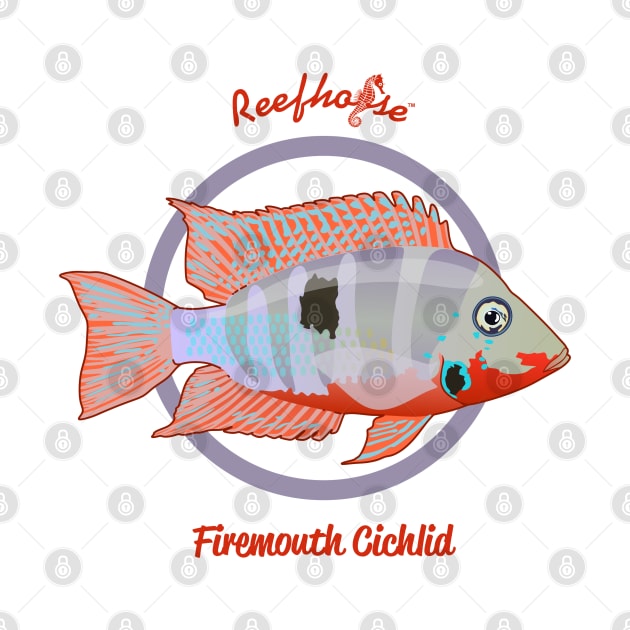 Firemouth Cichlid by Reefhorse