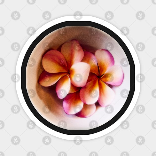 Plumeria Infusion Magnet by JohnCorney