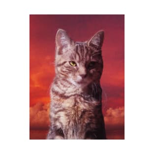Grey tabby cat in the red sky T-Shirt