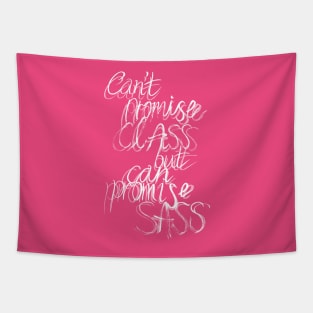 Can't promise class but can promise sass Tapestry