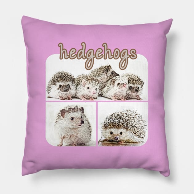 Pygmy Hedgehogs Pillow by raiseastorm