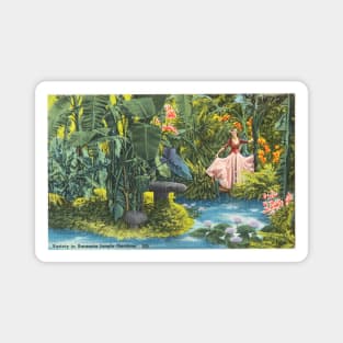 Sarasota Jungle Gardens postcard Magnet