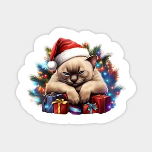 Lazy Tonkinese Cat At Christmas Magnet