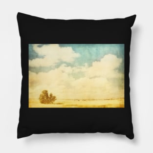 Solitude On The Prairie Pillow