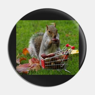 squirrel with shopping cart Pin