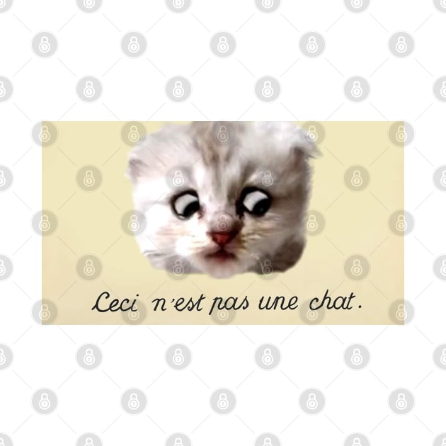 Ceci n'est pas une chat by SHappe