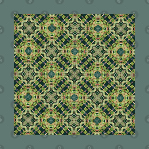 Succulent Geometric Pattern by susannefloe