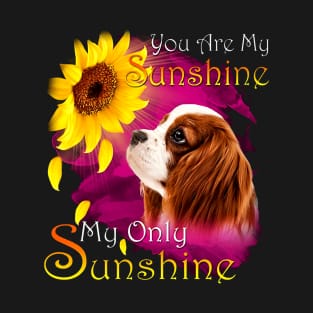 Cavalier King Charles Spaniel You Are My Sunshine T-Shirt