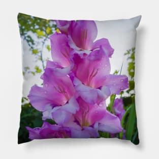 gladiolus Pillow