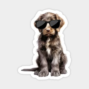 German Shorthaired Pointer Puppy Wearing Sunglasses Magnet