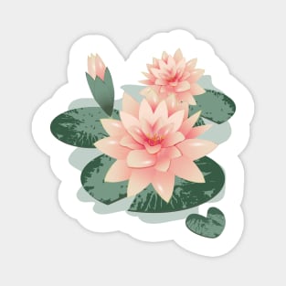 Water lily flowers with bud in water lily pond Magnet