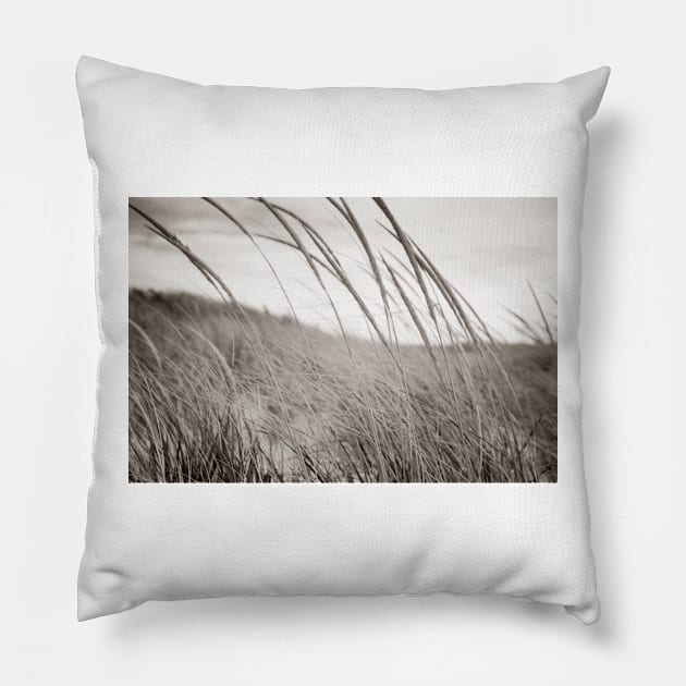 Abstract sepia toned effect Marram grass blowing in wind.  imagine this on a  card or gracing your room as wall art fine art canvas or framed print on your wall Pillow by brians101