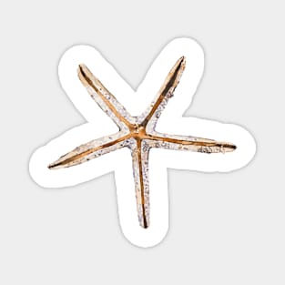 Blonde starfish Magnet