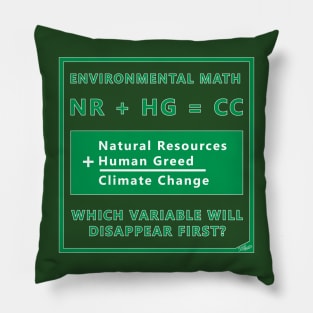 Environmental Math Pillow