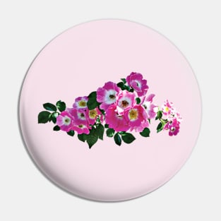 Pink Rambler Rose Pin