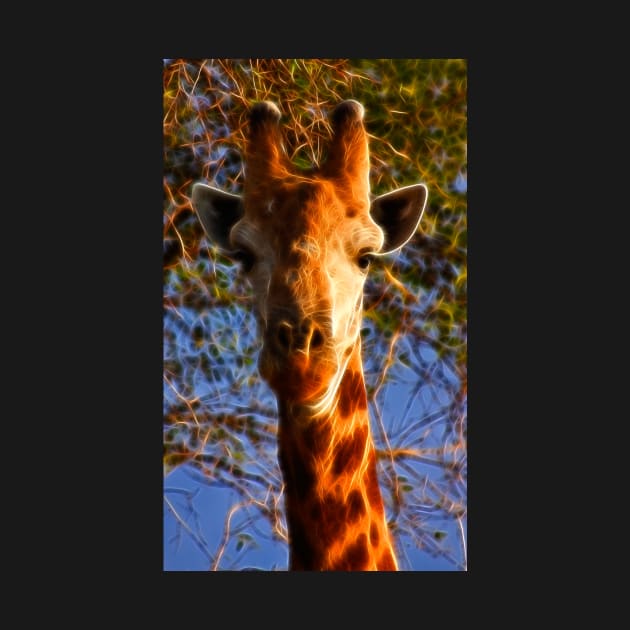 Kruger Giraffe by somadjinn