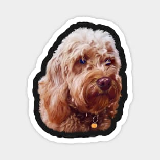 Cute Cavapoo Cavoodle puppy dog Face  - cavalier king charles spaniel poodle, puppy love Magnet