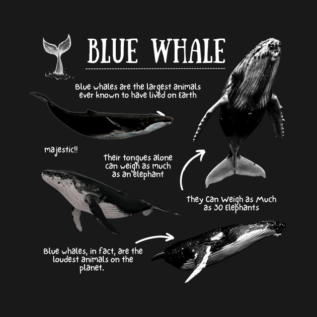 Blue Whale Fun Facts by Animal Facts and Trivias