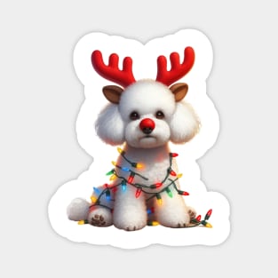 Christmas Red Nose Bichon Frise Dog Magnet