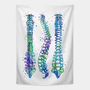 Human Spine Colorful Anatomy Artwork Tapestry