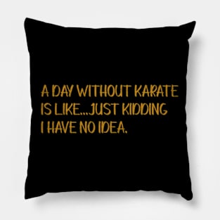 A Day Without Karate Is Like Pillow