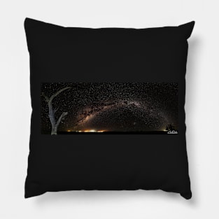 Lake Bonney Pillow