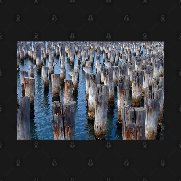 Princes Pier - Pilings - Port Melbourne by pops