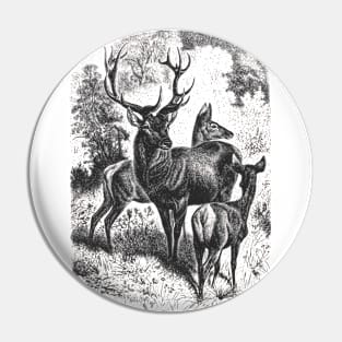 Deer Family Wildlife Illustration Pin