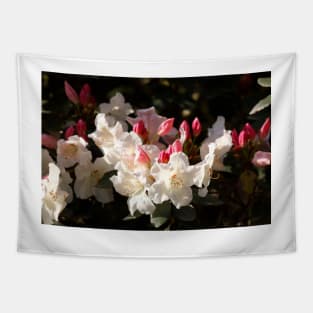 White rhododendron flower Tapestry