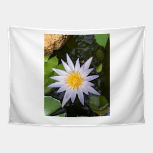 Purple-tinged water lily Tapestry