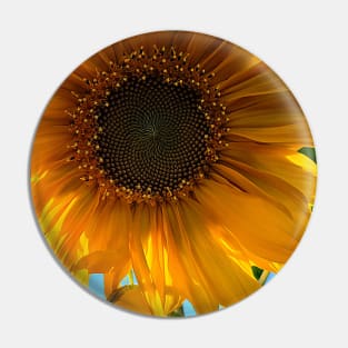 Sun Kissed Sunflower Pin