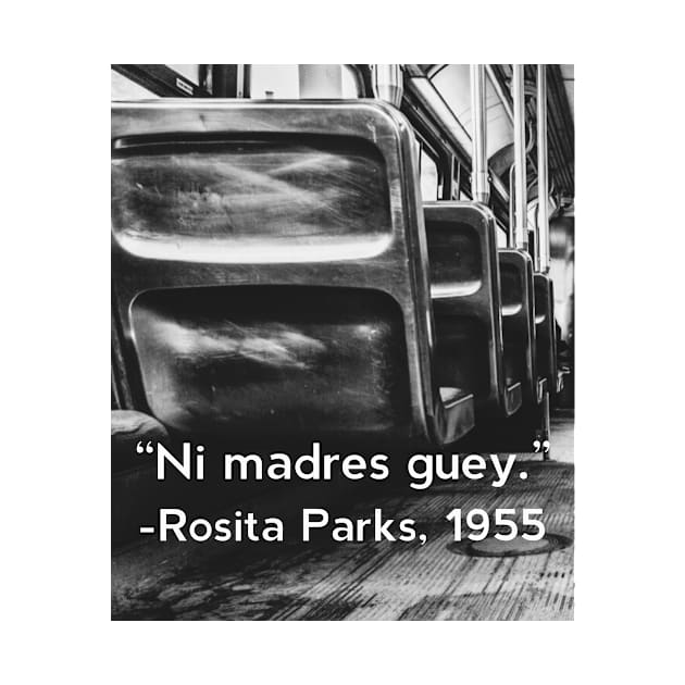 Rosita Parks-1955 by MessageOnApparel