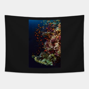 FISH & FORAGE Tapestry