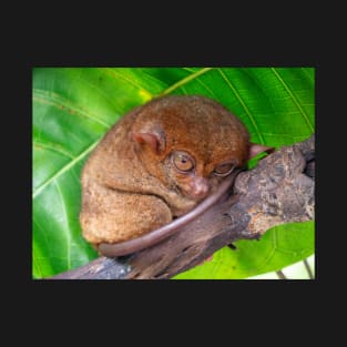 Tarsier, Bohol, Philippines T-Shirt