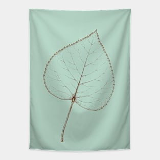 Linden leaf botanical line drawing in pastel green Tapestry