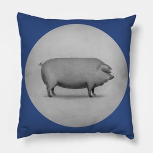 Perfect Pig circle Pillow