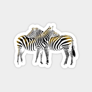 Zebra Magnet