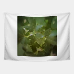 Maple Tree Green Leaves Tapestry