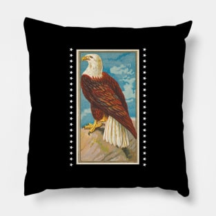 Vintage Eagle Illustration Pillow