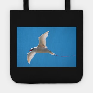 Red-Tailed Tropic Bird, Norfolk Island Tote