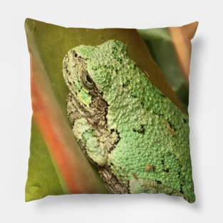 Succulent Tree Frog Pillow